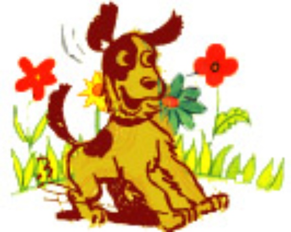 Logo dell'iniziativa 'Un cane per Amico'